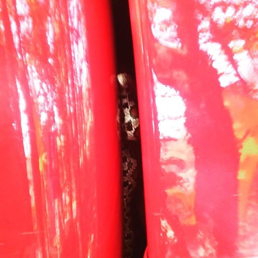 Photo: Treading on Big Red