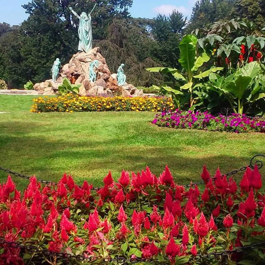 Photo: Tulip Beds