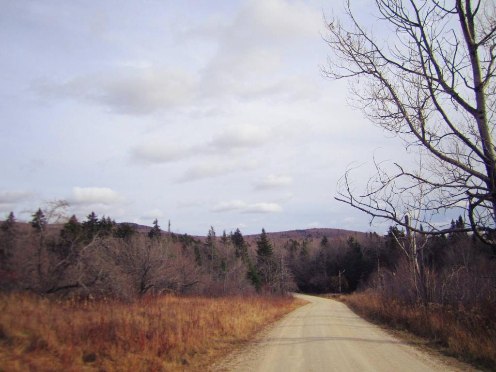 Photo: Forest Road 10 Winds