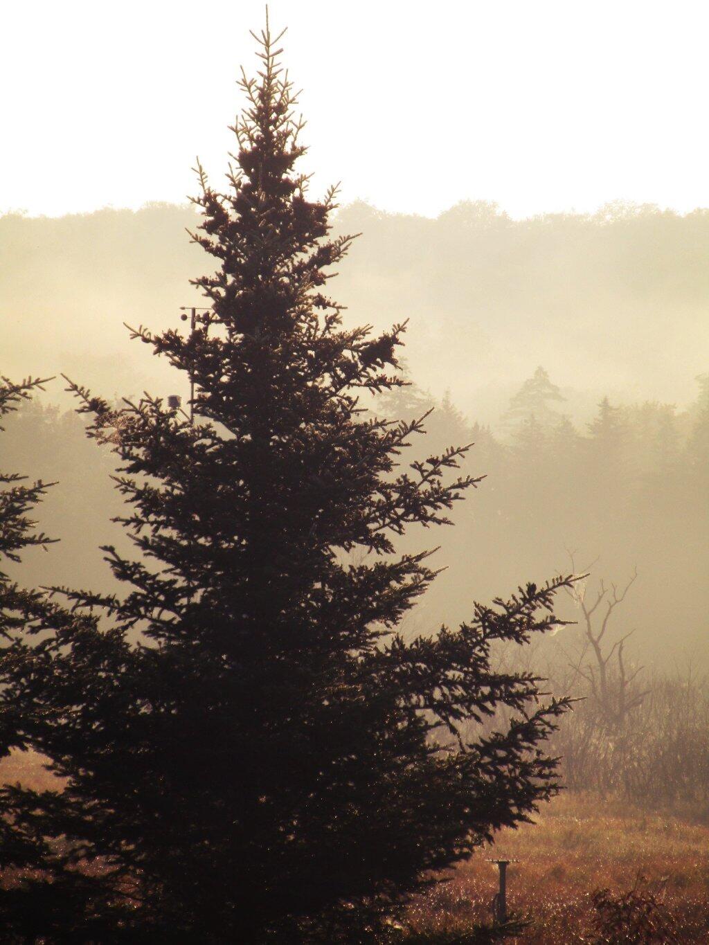 Photo: Morning At Powley Place
