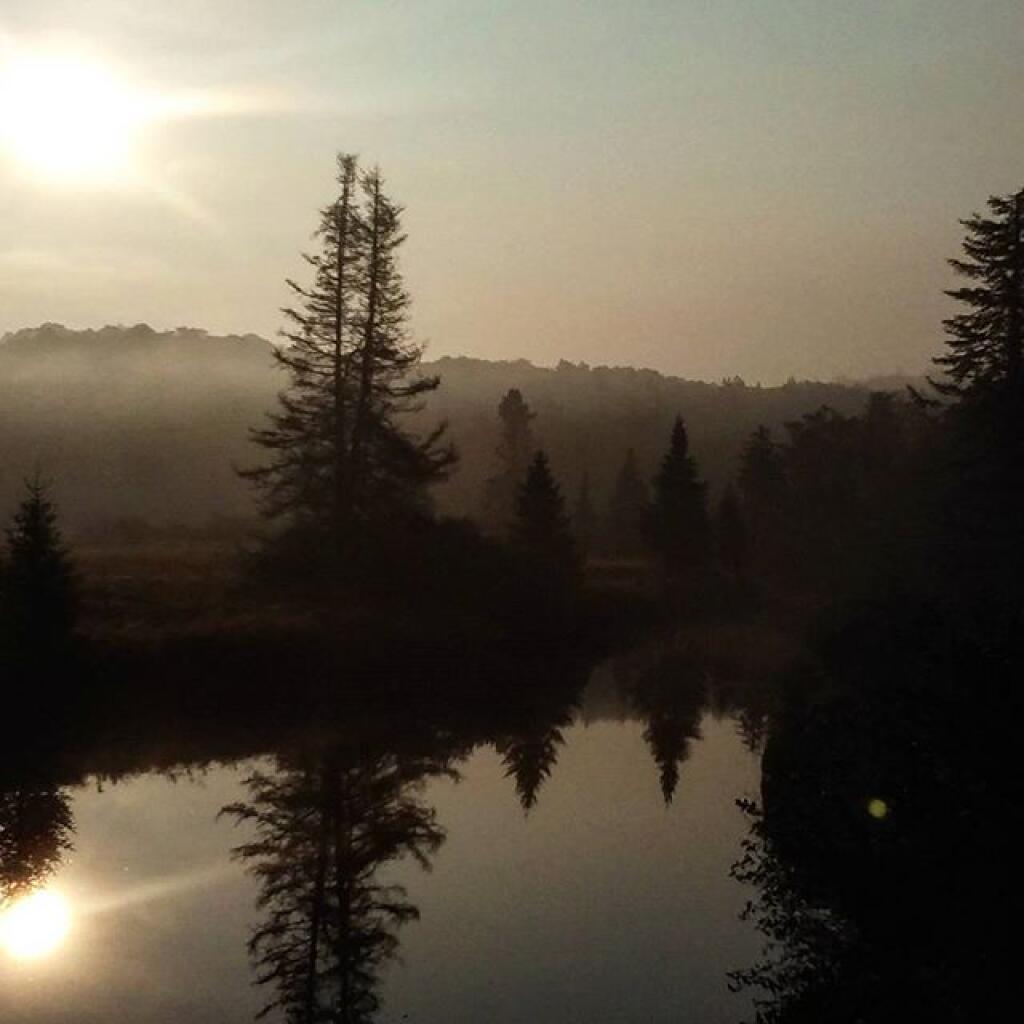 Photo: Foggy Start