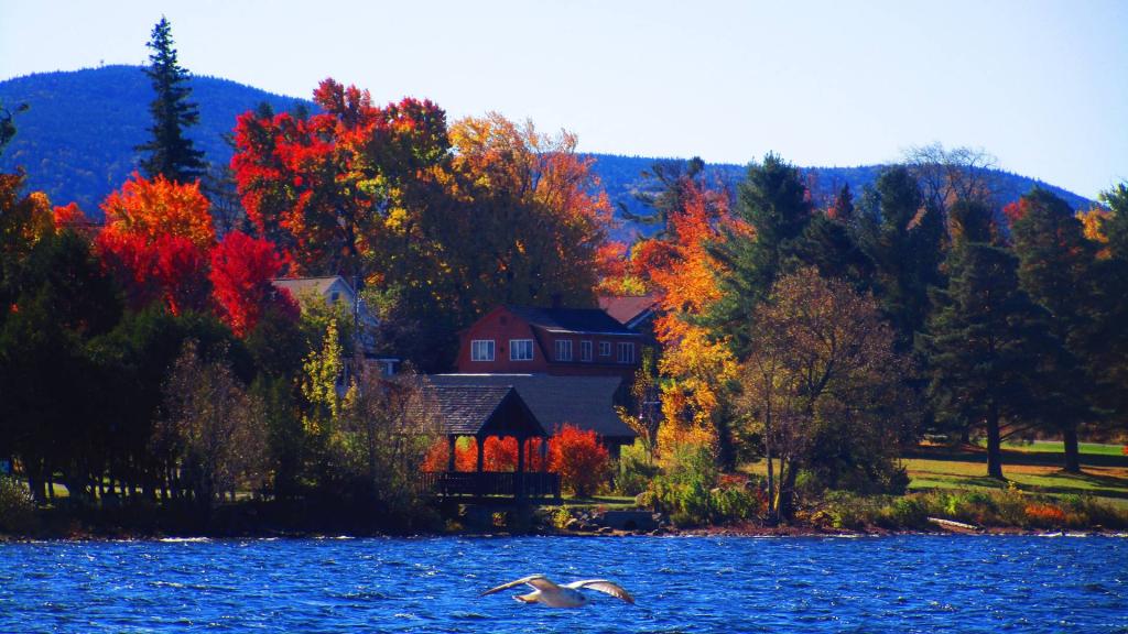 Photo: Autumn Day