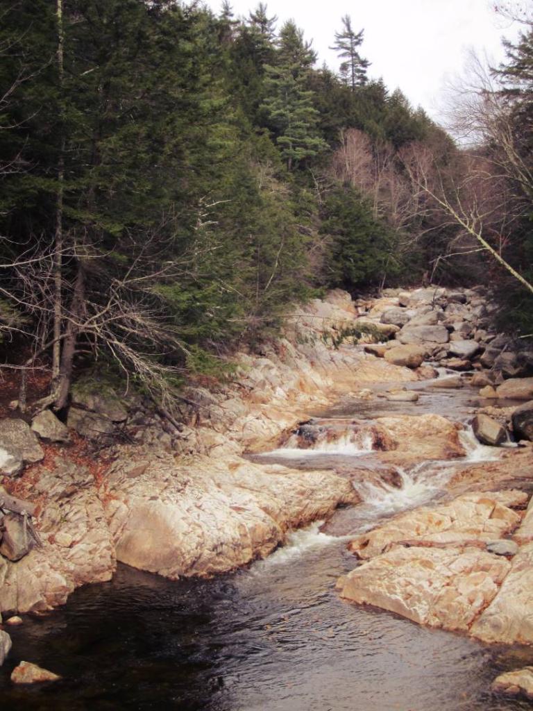 Photo: Big Brook