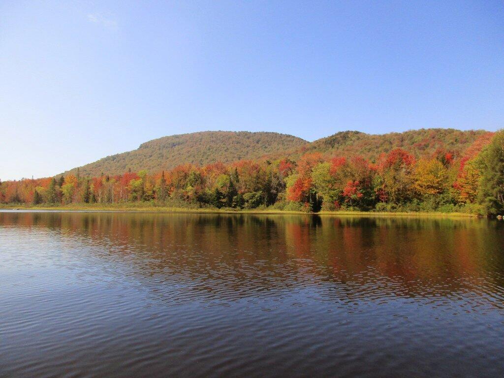 Photo: Sturges Hills