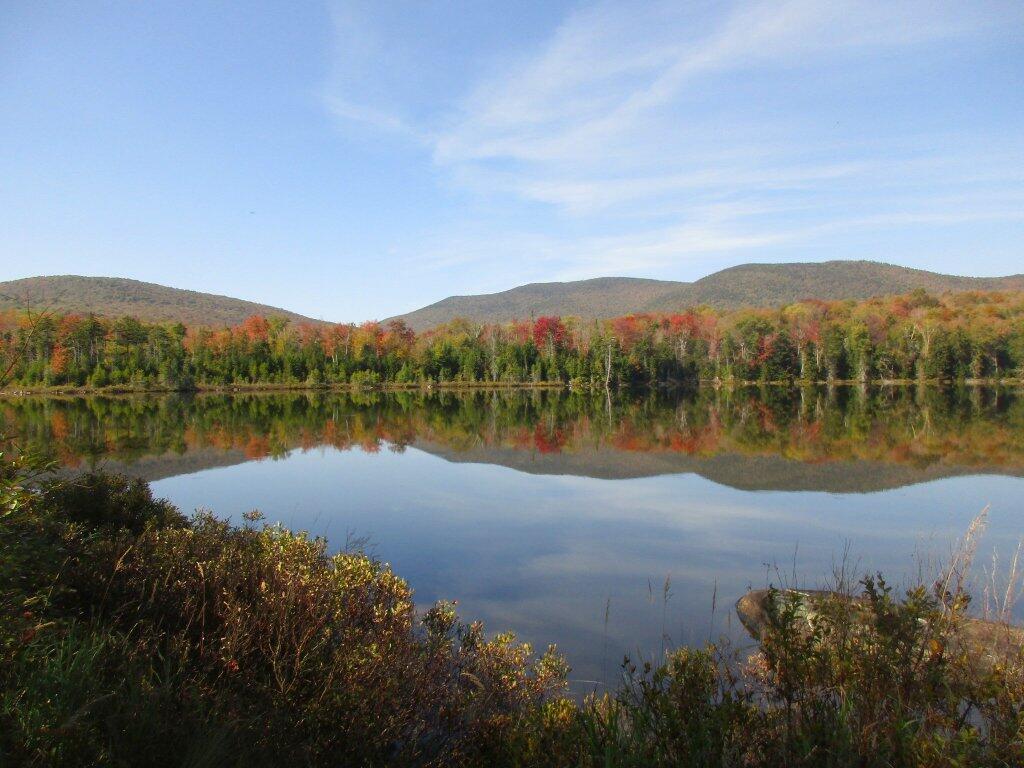 Photo: Wakely Pond Photo: Wakely Pond