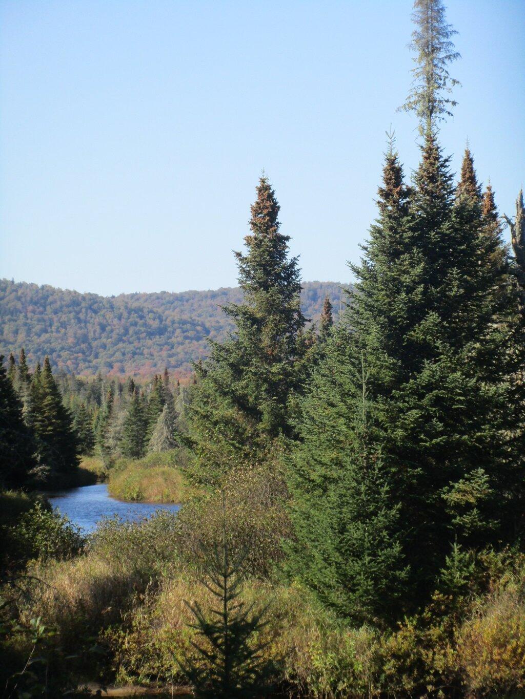 Photo: Wilderness