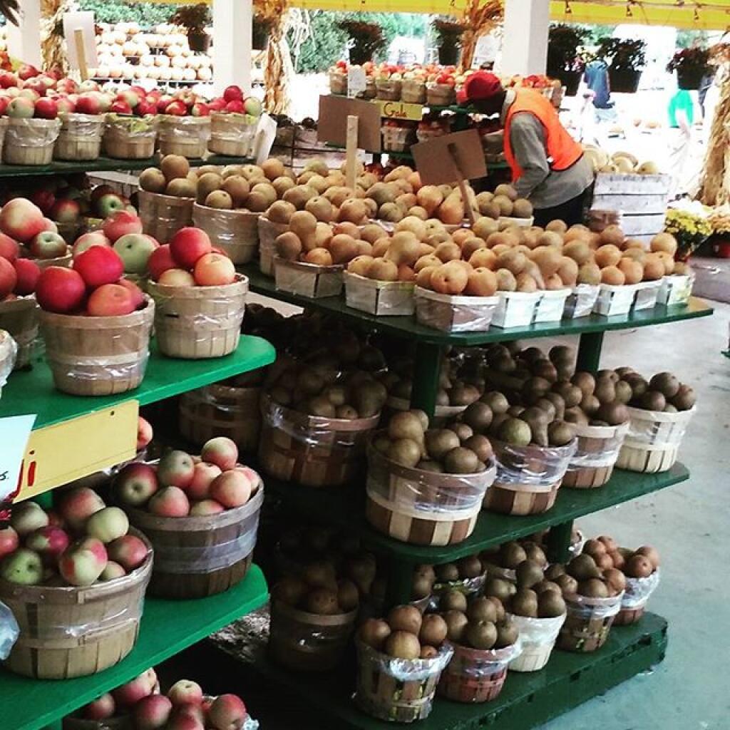 Photo: More apples