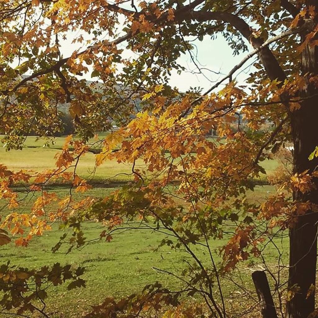 Photo: Autumn