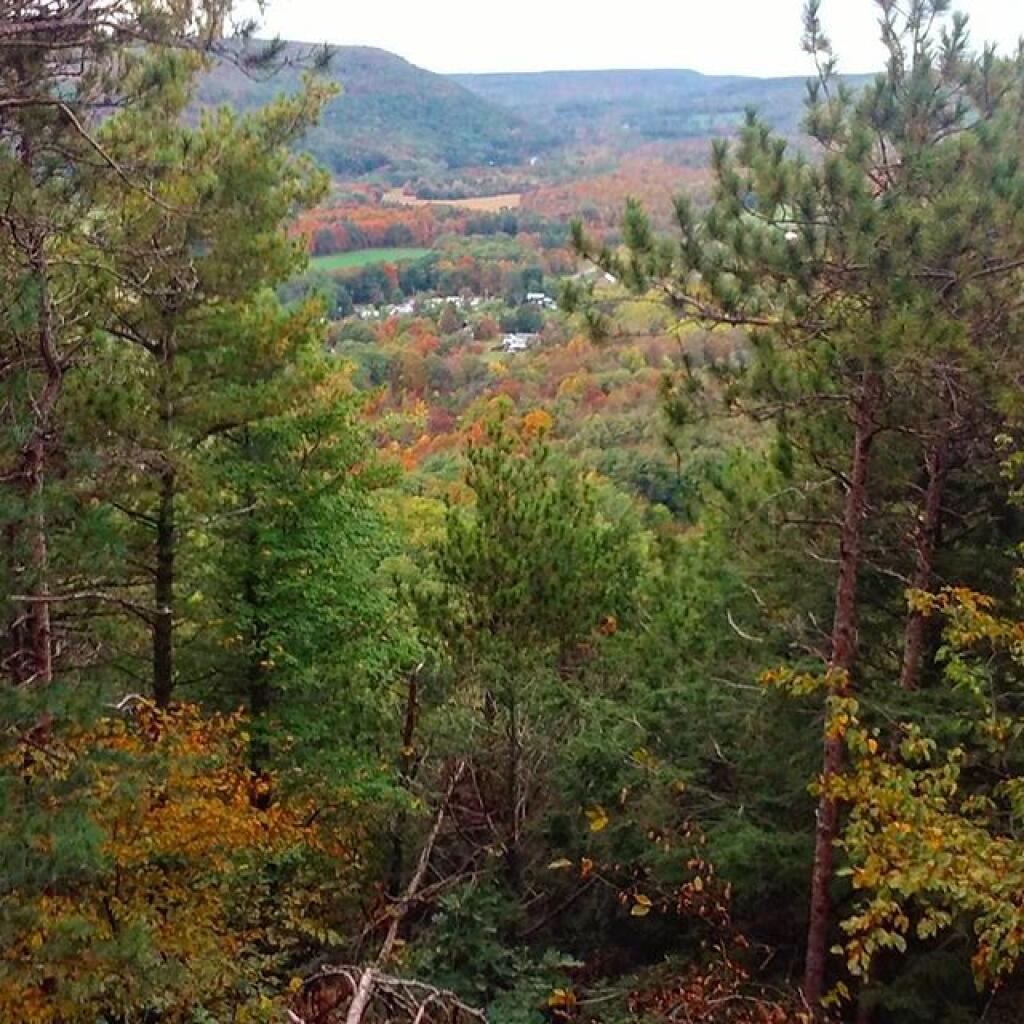 Photo: Wolf Hill