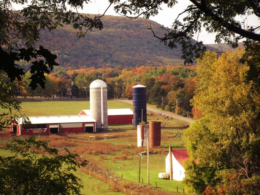 Photo: Bennett Hill Road Farm