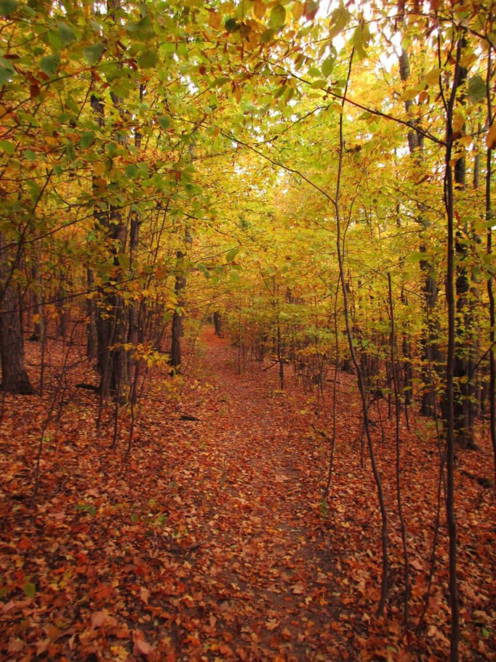 Photo: Colorful Hike