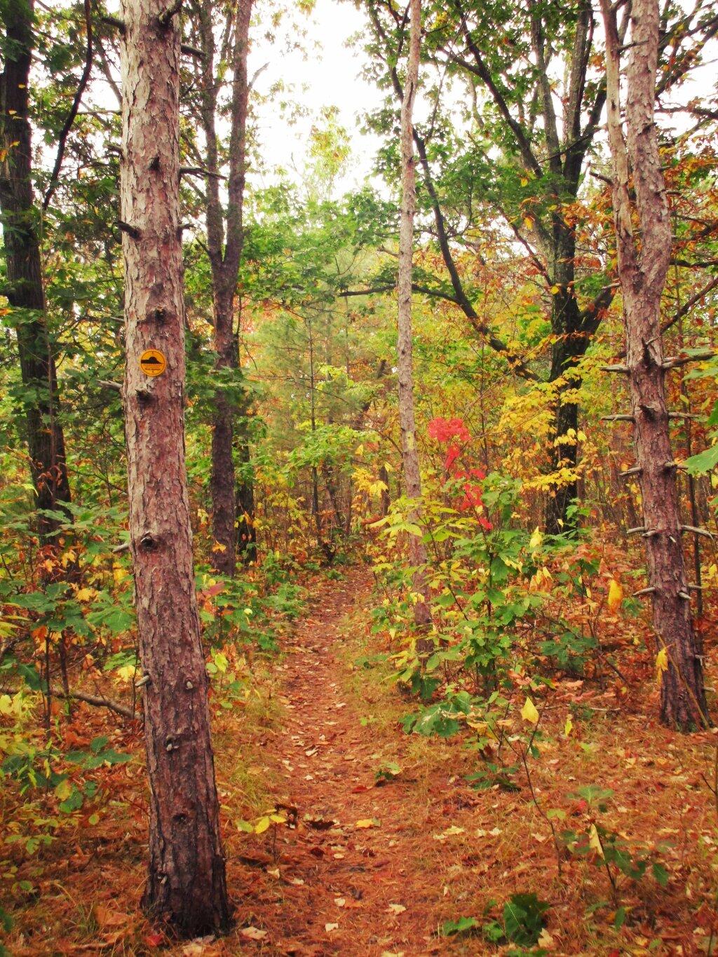 Photo: Trail