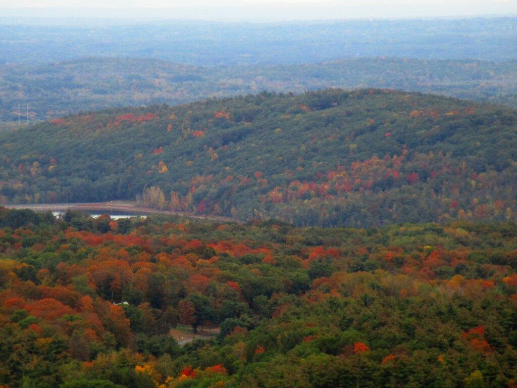 Photo: Vly Creek Reservior