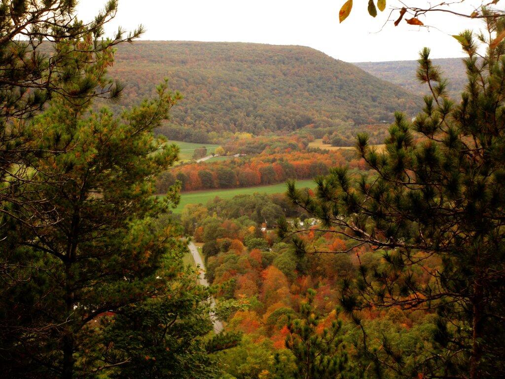Photo: Wolf Hill
