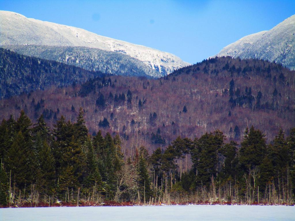 Photo: Notch