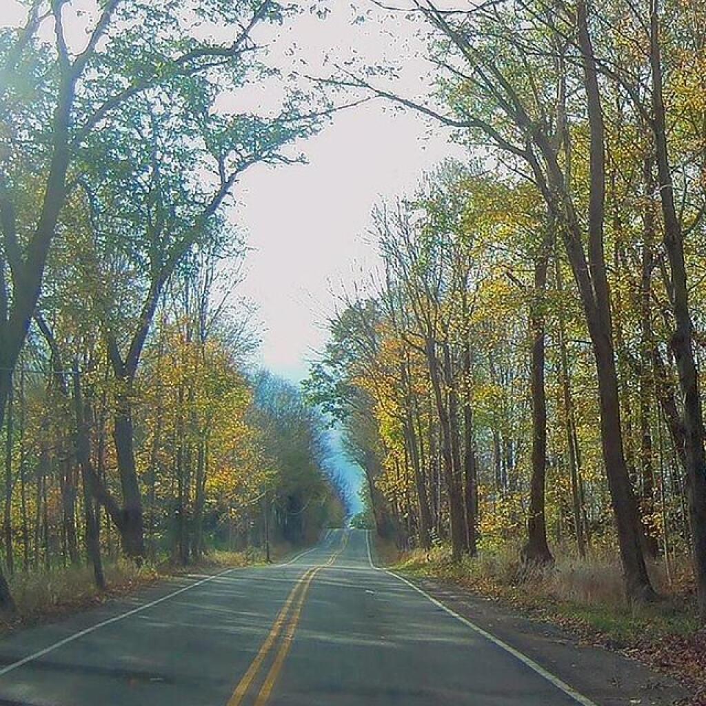 Photo: Laurel Highlands