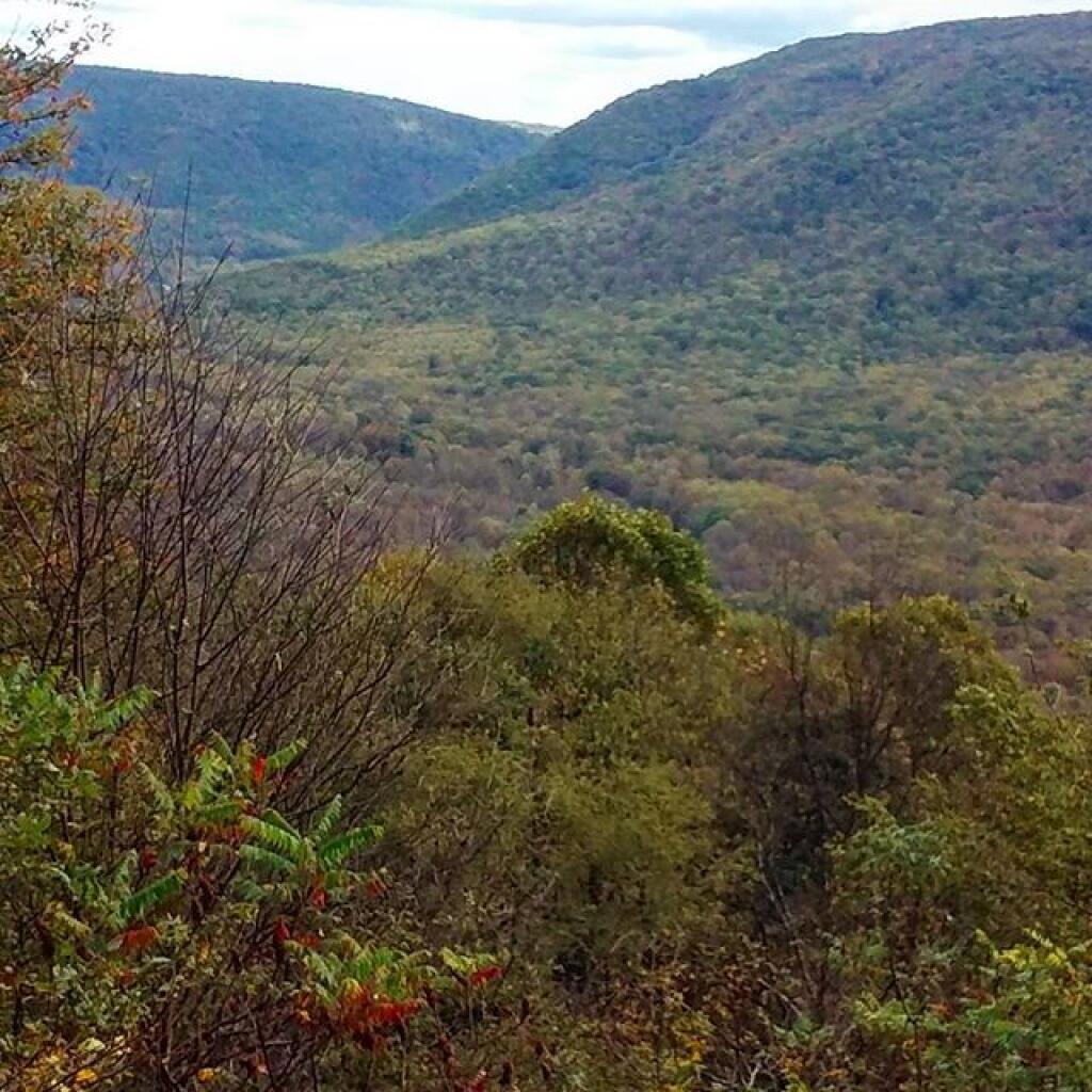 Photo: Baughman Rock Vista