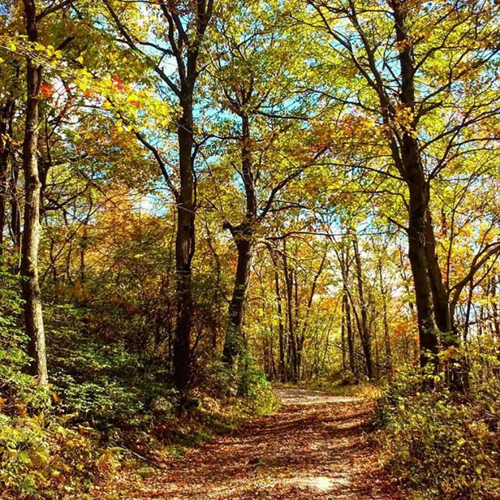 Photo: No Fire Tower left but nice walk