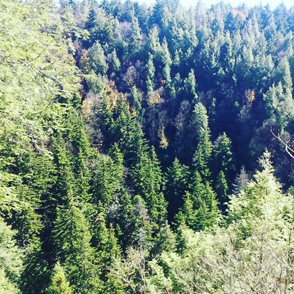 Photo: Canyon