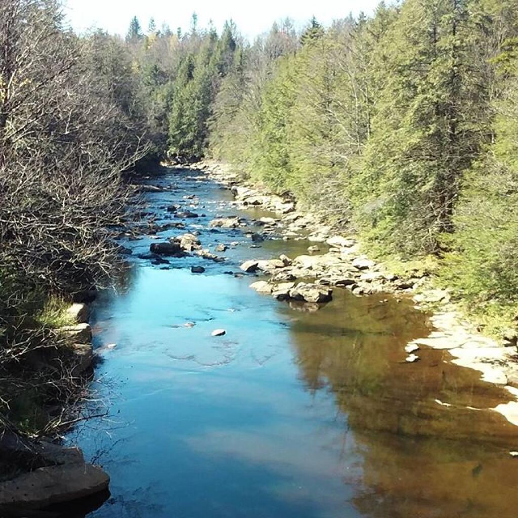 Photo: Upstream