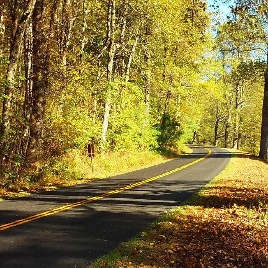 Photo: Morning from the Blue Ridge Parkway