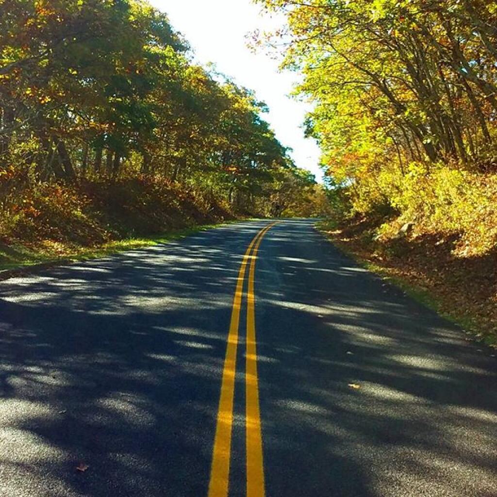 Photo: Along the Parkway