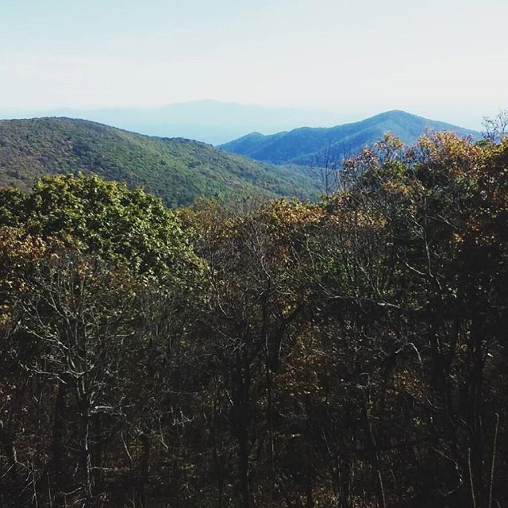 Photo: Apple Orchard Mountain Vista