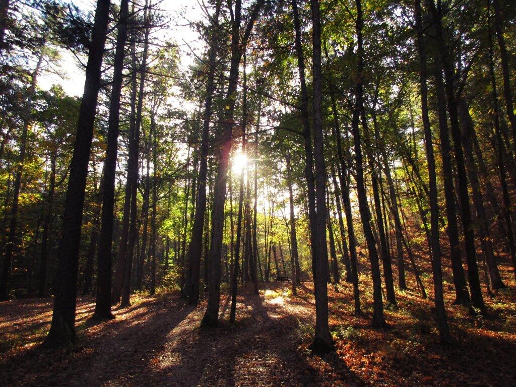 Photo: Sunrise At Camp Run
