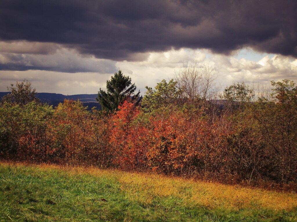 Photo: Firetower Overlook