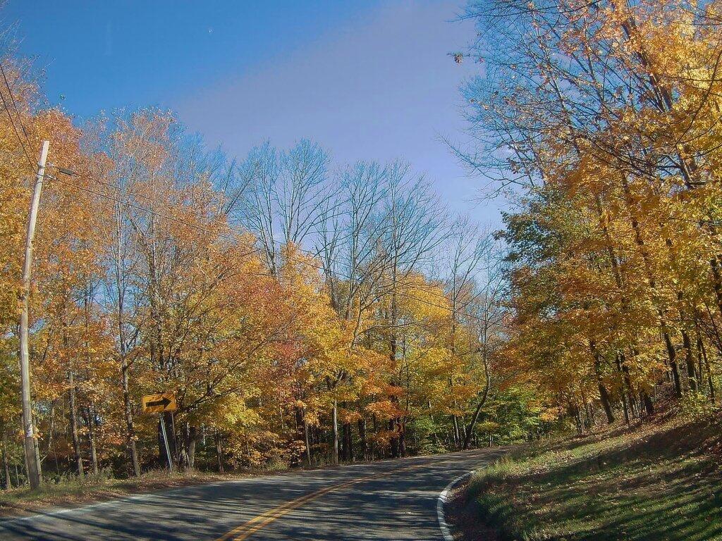 Photo: Good Color Is Hard To Find Photo: Good Color Is Hard To Find