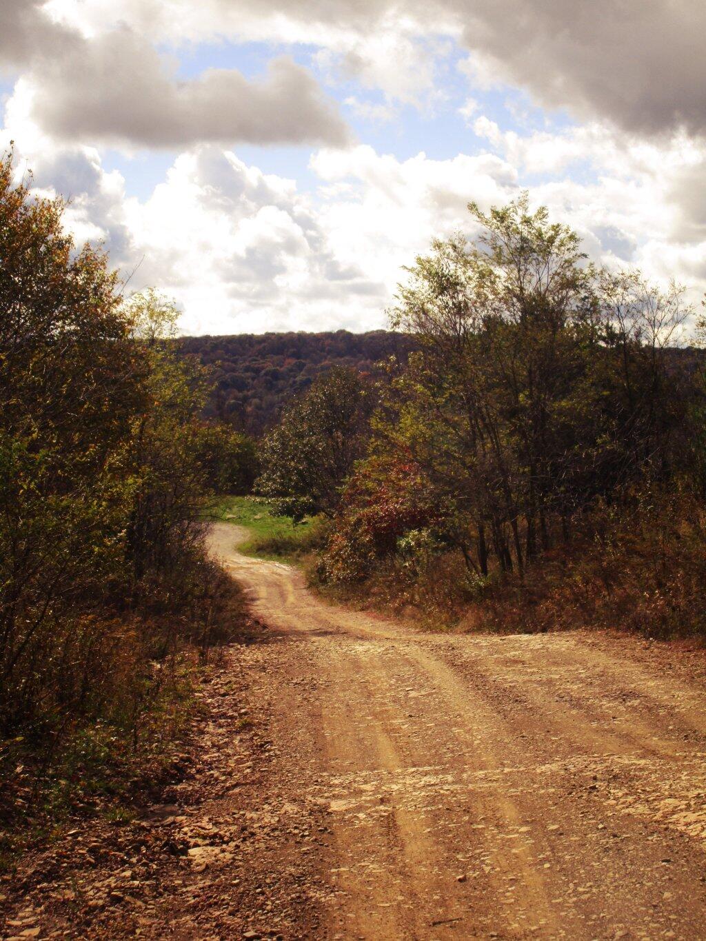 Photo: Firetower Road