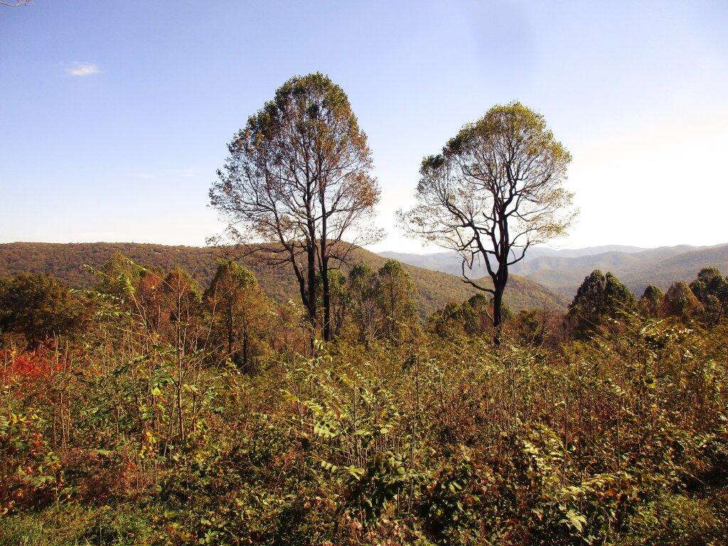 Photo: Blue Ridge Parkway 2