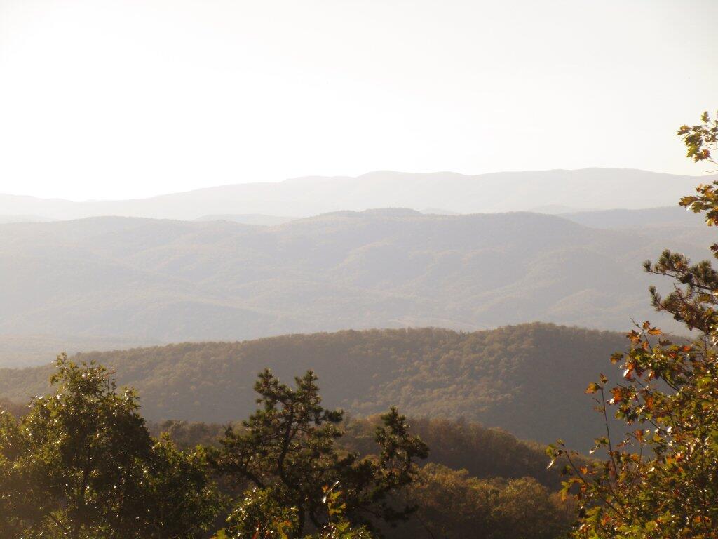 Photo: Haze