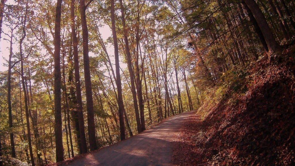 Photo: Heading Up To The Blue Ridge Parkway