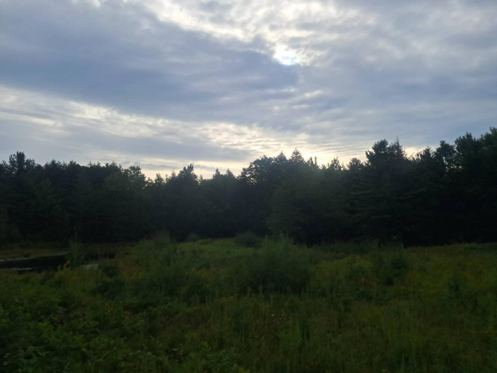 Photo: Cloudy [Expires September 14 2026]