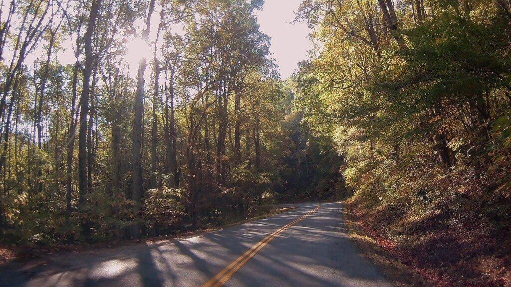 Photo: Morning On The Parkway Photo: Morning On The Parkway