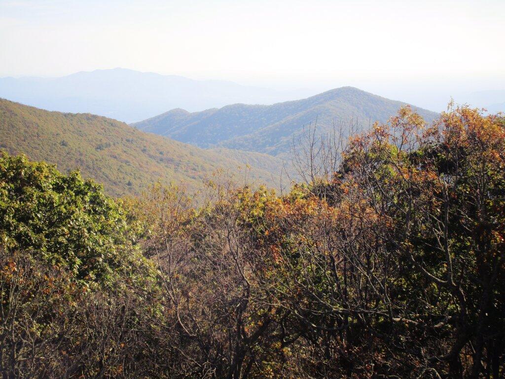Photo: Apple Orchard Vista
