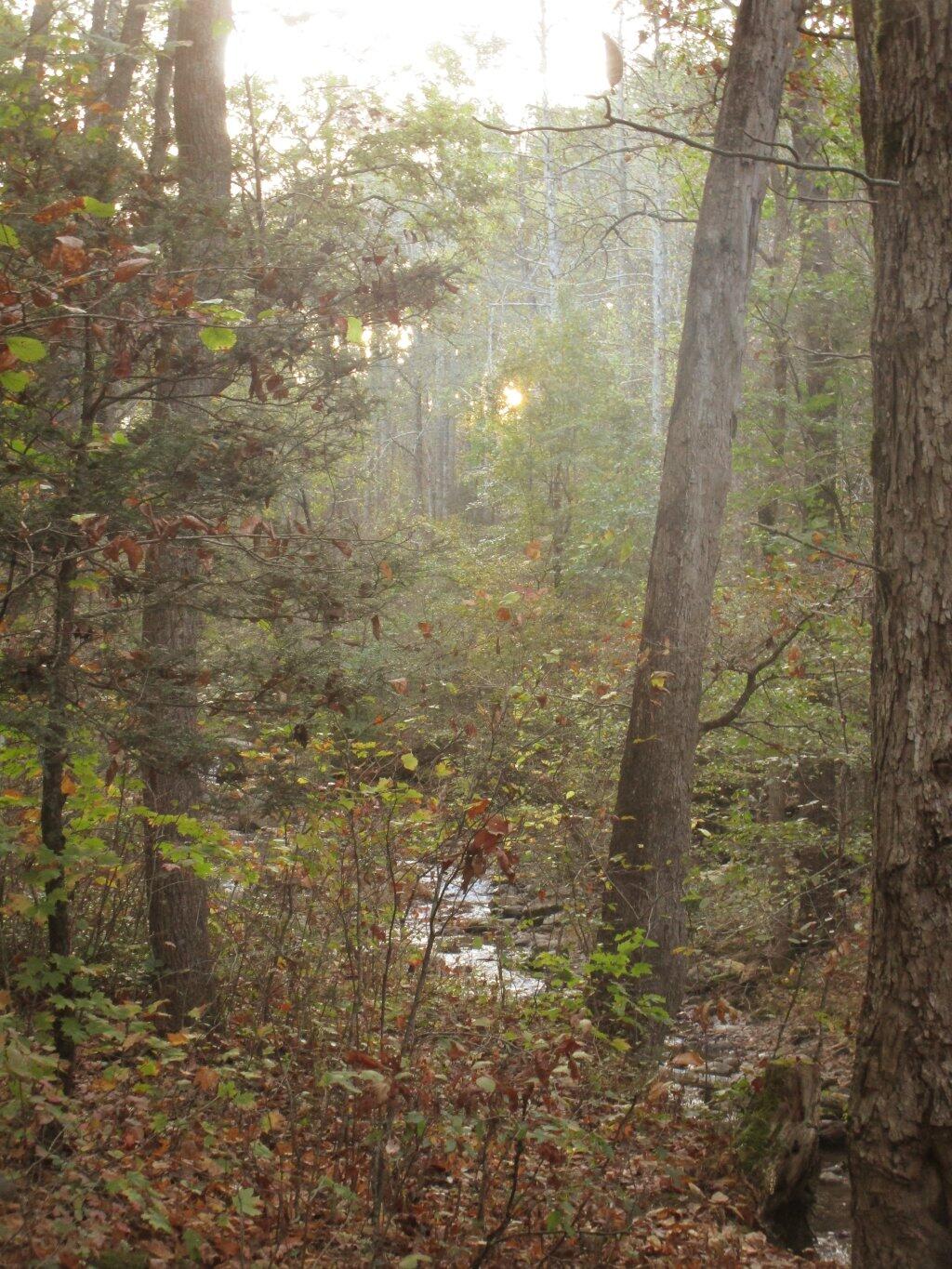 Photo: North Creek Photo: North Creek