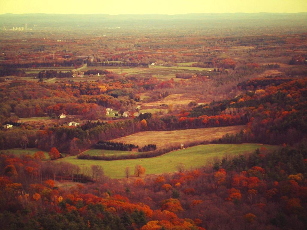 Photo: Guilderland With Albany In The Distance