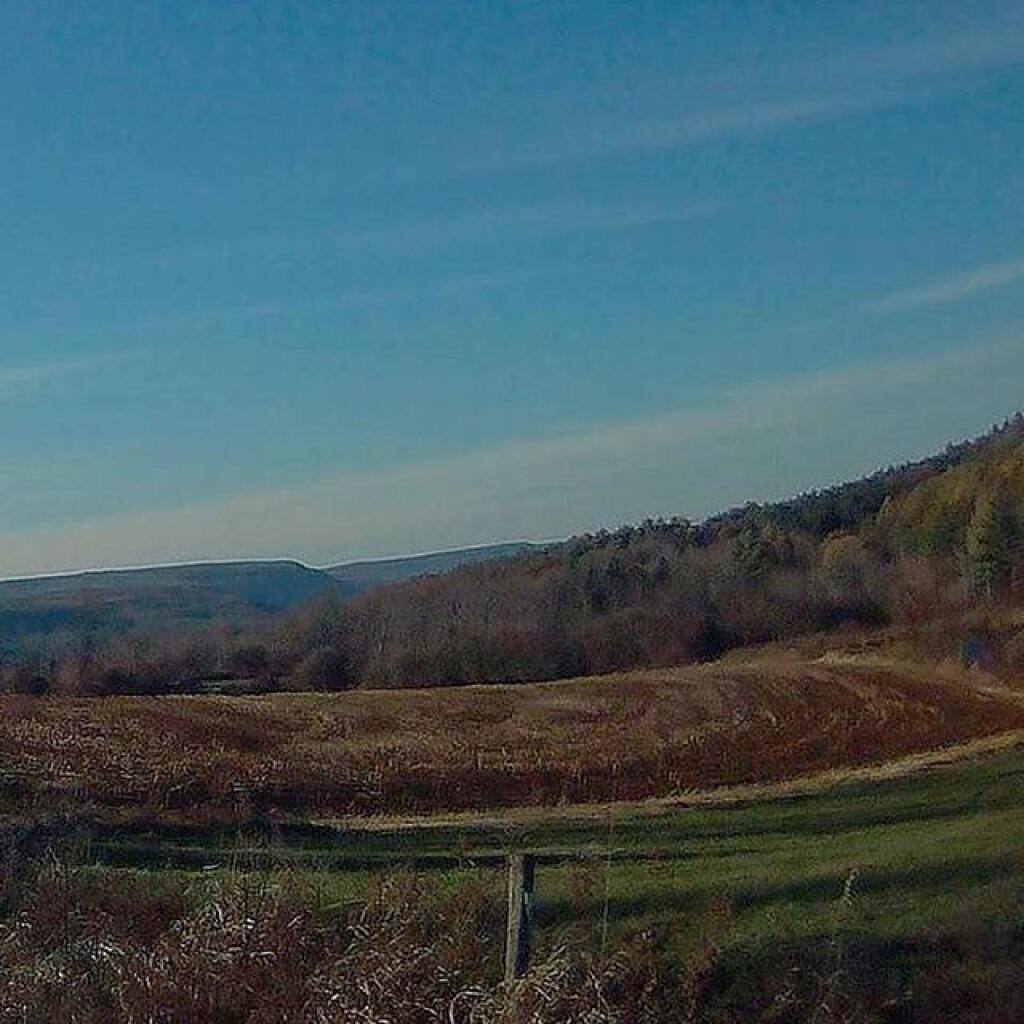 Photo: Field