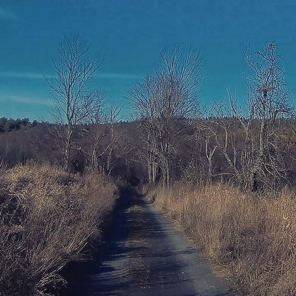 Photo: Just a track
