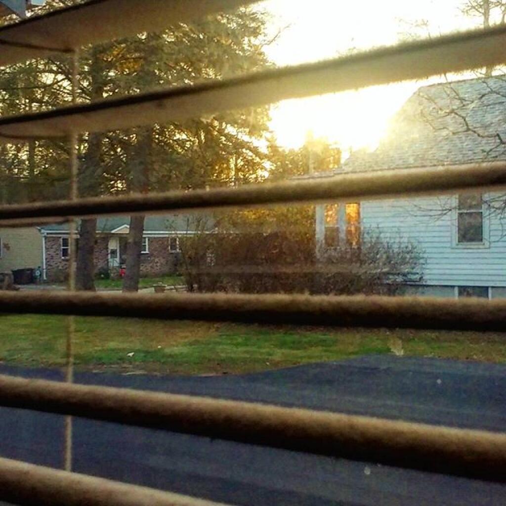 Photo: Blinds