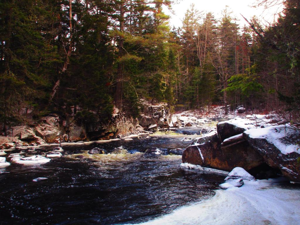 Photo: Along the Island