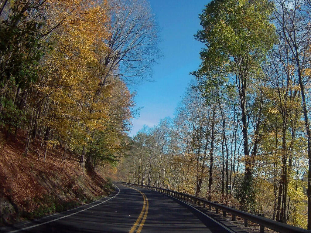 Photo: Beautiful Autumn Day
