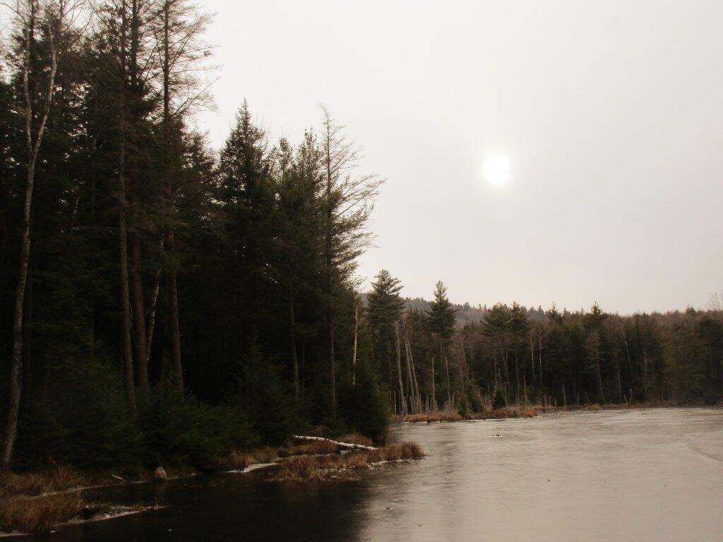 Photo: Pond
