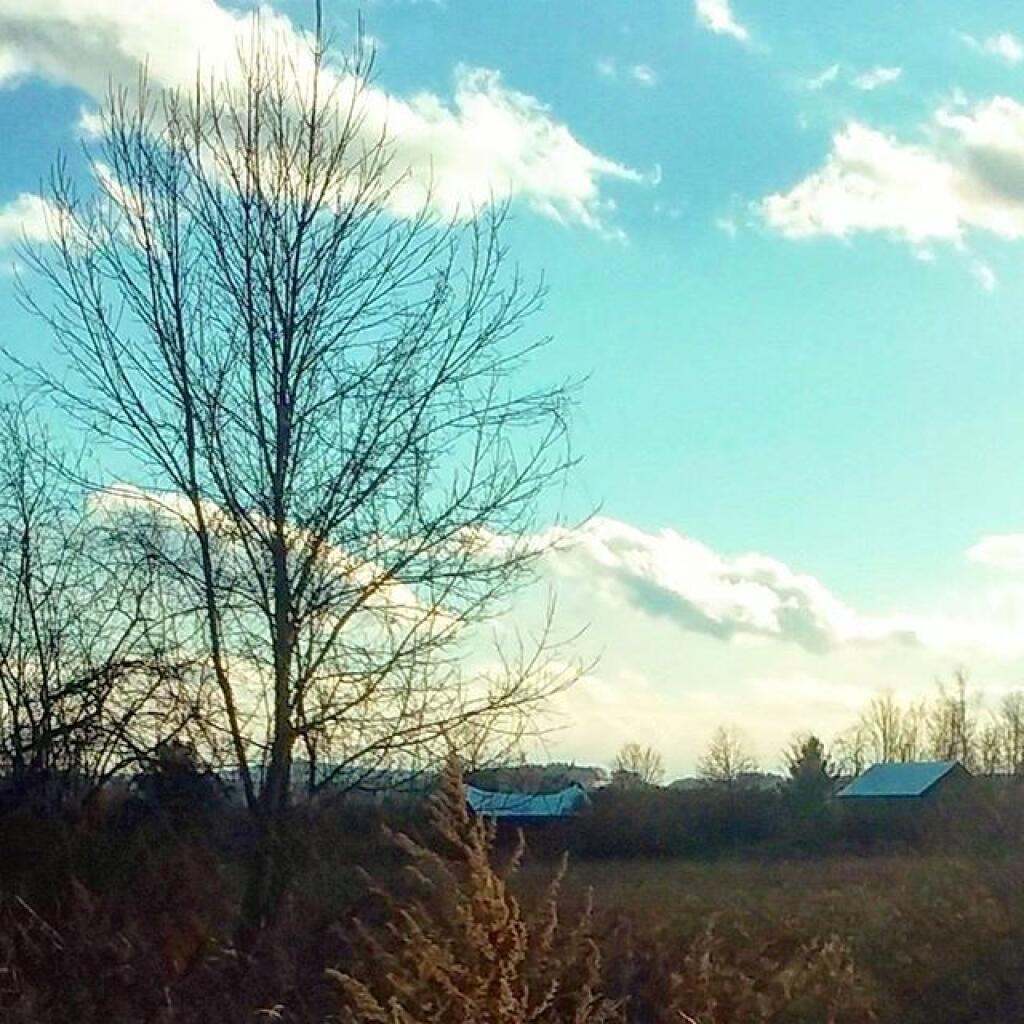 Photo: Quiet rural landscape