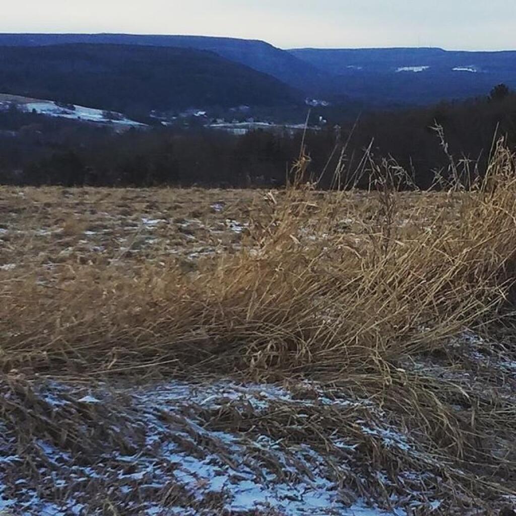 Photo: View from Upper Copeland Hill Road