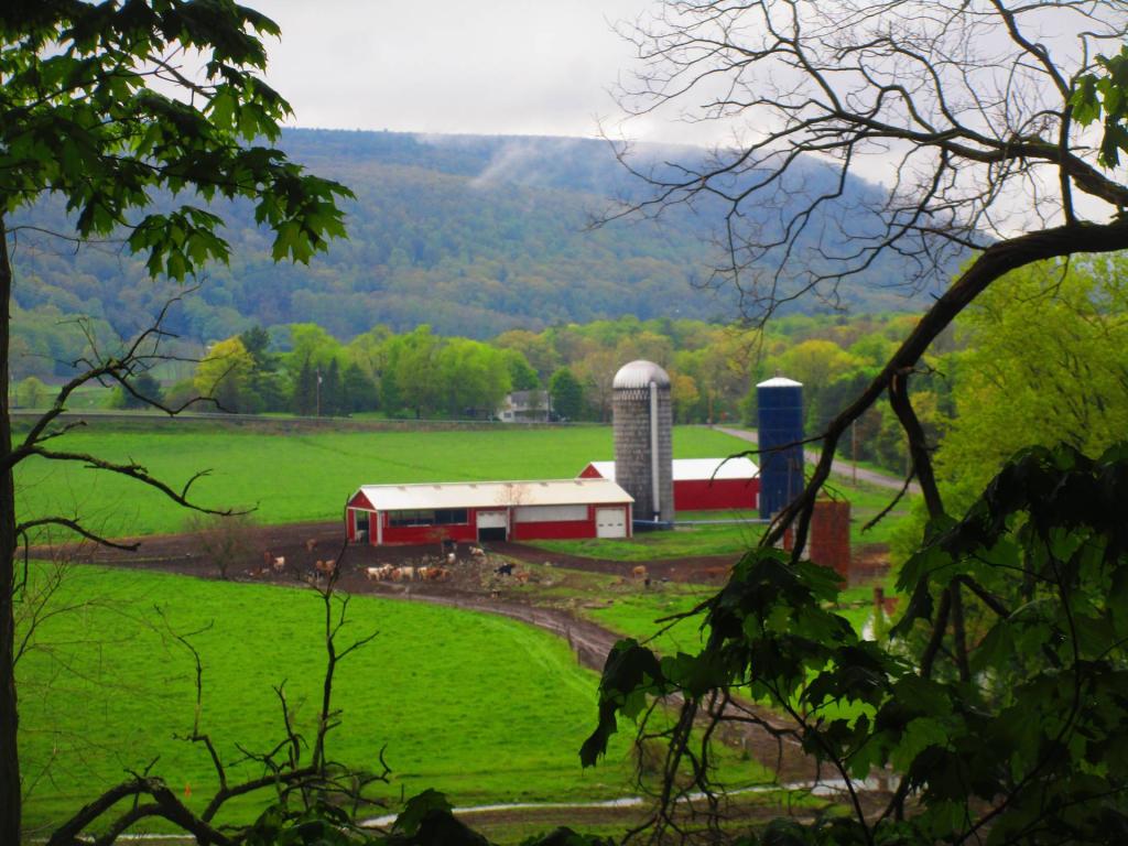 Photo: Barn [Expires May 23 2026]