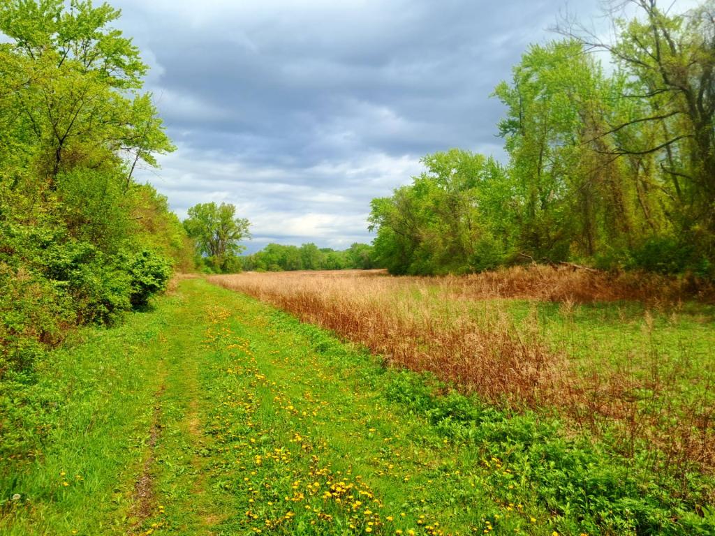 Photo: Field [Expires May 24 2026]