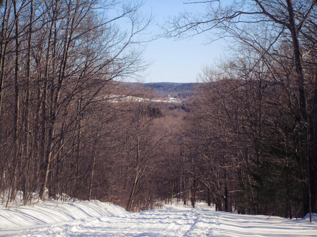 Photo: Gifford Hollow